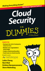 cloud security for dummies