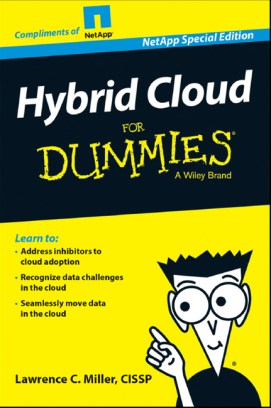 netapp_hybrid_cloud_dummies